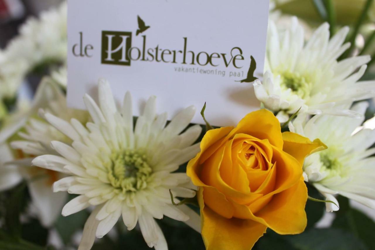 De Holsterhoeve Beringen Exterior foto